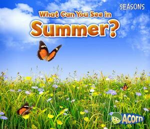 What Can You See in Summer? by Sian Smith