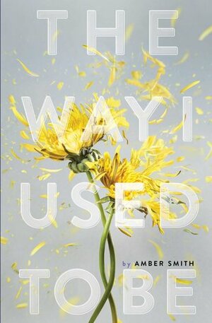 Way I Used to Be by Amber Smith, Kevin Twomey