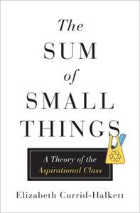 The Sum of Small Things: A Theory of the Aspirational Class by Elizabeth Currid-Halkett