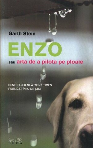 Enzo sau arta de a pilota pe ploaie by Garth Stein