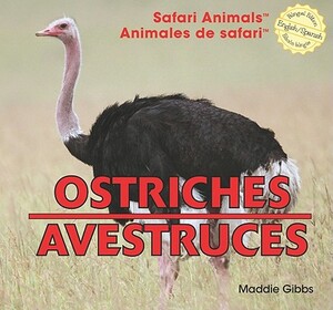 Ostriches/Avestruces by Maddie Gibbs