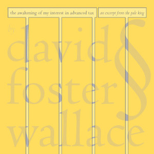 The Awakening of My Interest in Advanced Tax by David Foster Wallace