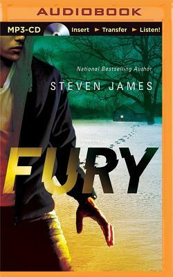 Fury by Steven James