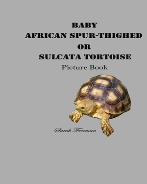 Baby African Spur-Thighed or Sulcata Tortoise Picture Book by Sarah Freeman