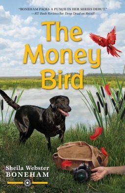 The Money Bird by Sheila Webster Boneham