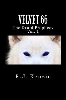 Velvet 66 by R. J. Kenzie