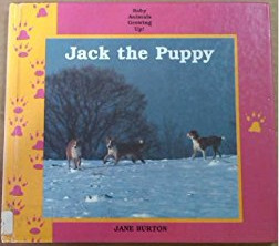 Jack the Puppy by Jane Burton