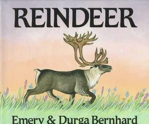 Reindeer by Emery Bernhard, Durga Bernhard