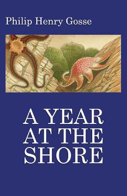 Gosse's a Year at the Shore by Philip Henry Gosse