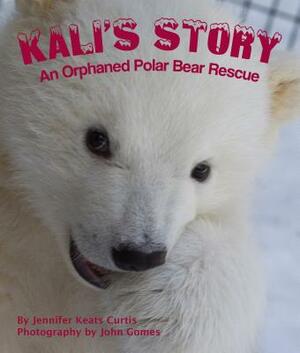 Kali's Story: An Orphaned Polar Bear Rescue by Jennifer Keats Curtis