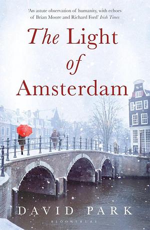 The Light of Amsterdam by David Park