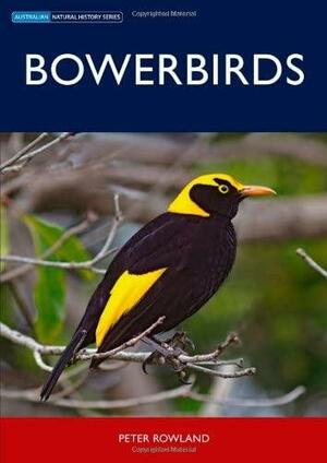 Bowerbirds by Peter Rowland