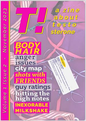 T! - a zine about testosterone by Bryn Rowan