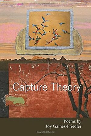 Capture Theory by Joy Gaines-Friedler