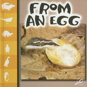 From an Egg by Ray James