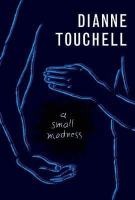 A Small Madness by Dianne Touchell