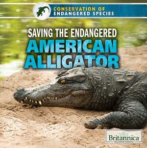 Saving the Endangered American Alligator by Jeanne Nagle