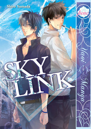 Sky Link by Shiro Yamada