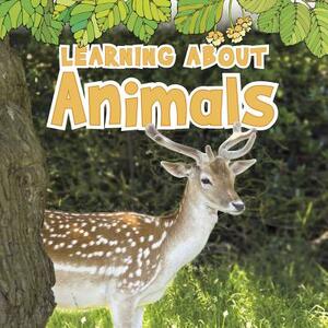 Learning about Animals by Catherine Veitch