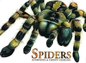 spiders: scorpions & creepy crawlies by Claudia Martin