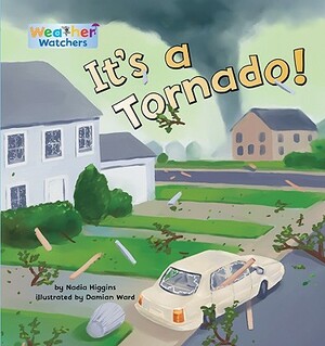 It's a Tornado! by Nadia Higgins