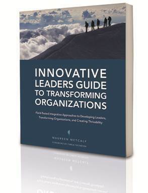 Innovative Leaders Guide to Transforming Organizations by Maureen Metcalf
