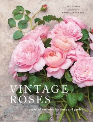 Vintage Roses by Jane Eastoe