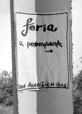 Feria: A Poempark by Oana Avasilichioaei