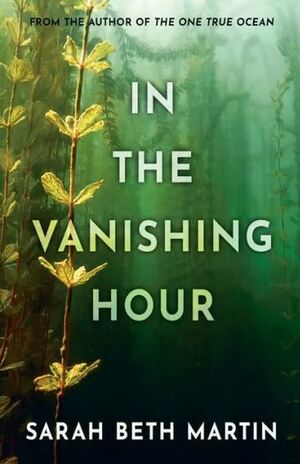 In The Vanishing Hours by Sarah Beth Martin