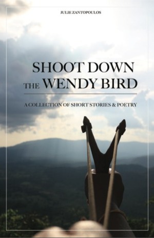 Shoot Down the Wendy Bird: A Collection of Short Stories & Poetry by Julie Zantopoulos