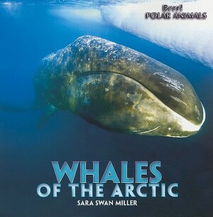 Whales of the Arctic by Sara Swan Miller