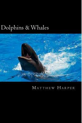 Dolphins & Whales: A Fascinating Book Containing Dolphin & Whale Facts, Trivia, Images & Memory Recall Quiz: Suitable for Adults & Childr by Matthew Harper
