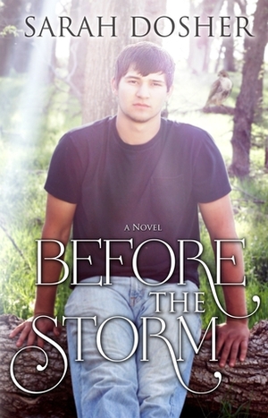 Before the Storm by Sarah Dosher