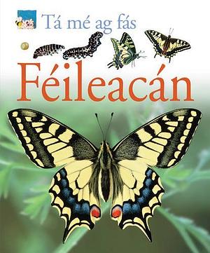 Féileacán by Lisa Magloff