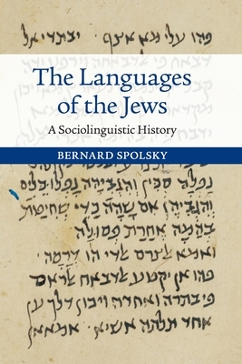 The Languages of the Jews: A Sociolinguistic History by Bernard Spolsky