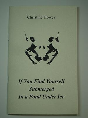 If You Find Yourself Submerged In a Pond Under Ice by Christine Howey