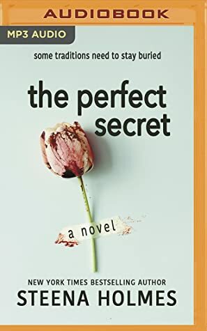 The Perfect Secret by Steena Holmes, Christina Traister, Erin deWard