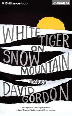 White Tiger on Snow Mountain: Stories by David Gordon