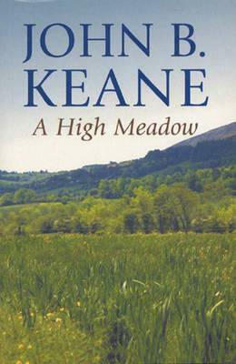 High Meadow by John B. Keane