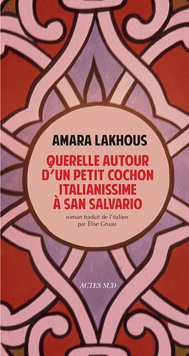 Querelle autour d'un petit cochon italianissime à San Salvario: roman by Amara Lakhous