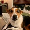 shannon_hogan's profile picture