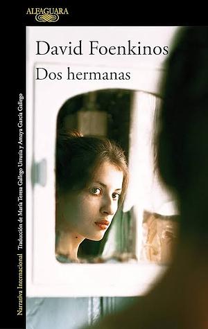 Dos hermanas by David Foenkinos