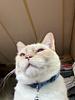 johtsosie's profile picture