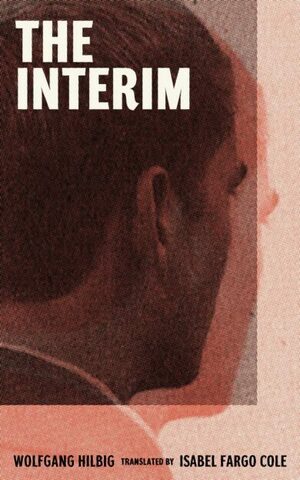 The Interim by Wolfgang Hilbig