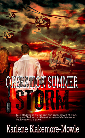 Operation Summer Storm by Karlene Blakemore-Mowle