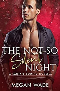 The Not So Silent Night by Megan Wade