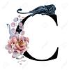 theromanticreader's profile picture