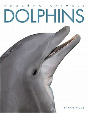 Amazing Animals: Dolphins by Kate Riggs