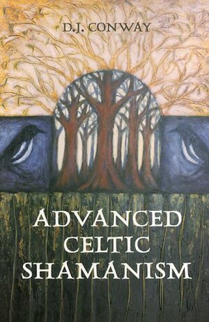 Advanced Celtic Shamanism by D.J. Conway