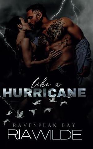 Like a Hurricane: A dark smalltown romance by Ria Wilde, Ria Wilde